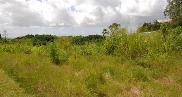 Property For Sale: Turtleback Ridge.. - 2