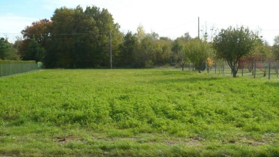 Land - Rioux