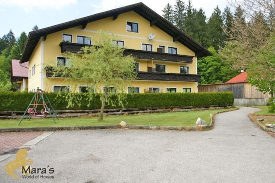 Equestrian property, horsestables.. - 2