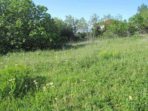 Building Plot For Sale - Loule - 2