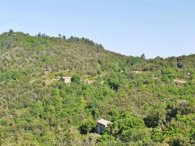 5 bedroom Character For Sale: 30270.. - 2