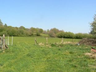 House with 9 Hectares Equestiran Land - 2