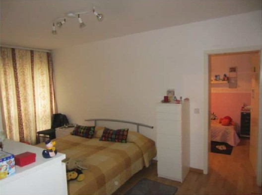 Modernized Apartment near Schloss.. - 2