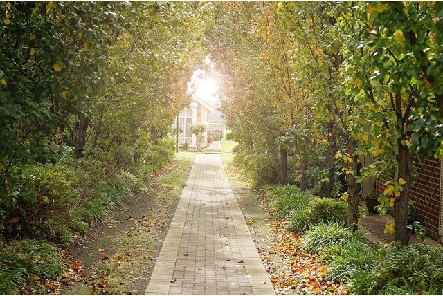 Living Choice Woodcroft - WOODCROFT - SA - 2