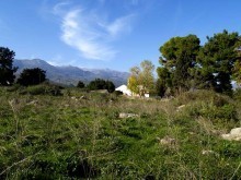 Build In Crete