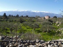 Land For Sale In Crete
