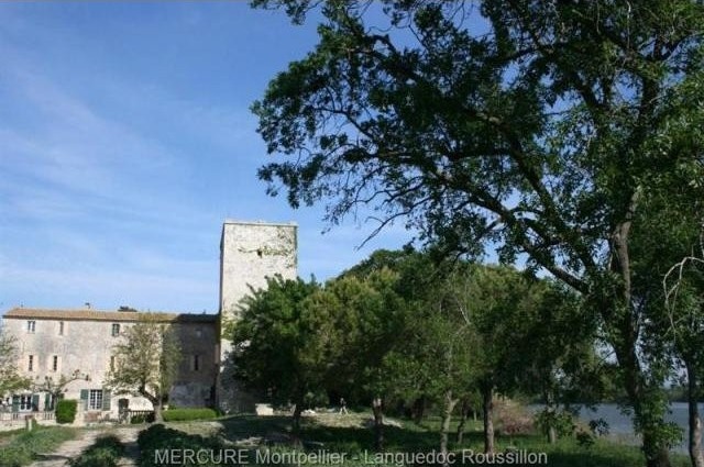 Castle For Sale: 30800 GARD