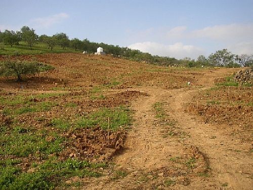 Land - Nice plot of 20,000 m2 of..