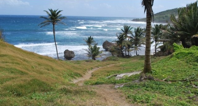 Property For Sale: Martins Bay Lot 4..