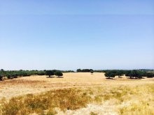 Development Land Property For Sale -.. - 2