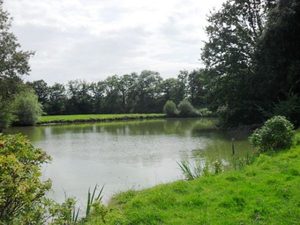 Prestige Chateau with Lake, Ideal.. - 2