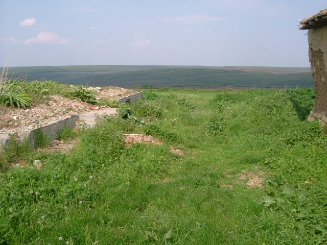 Land in Dryanovets, Dobrich
