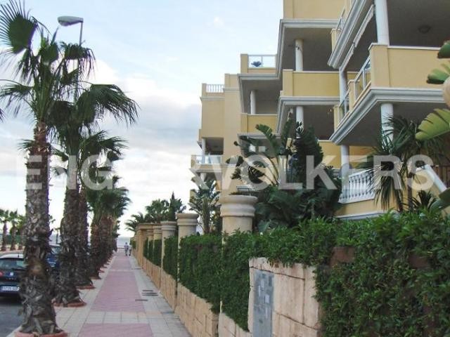 Luxury beachfront apartment with great.. - 2