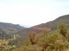 Agricultural Land For Sale - Close To..