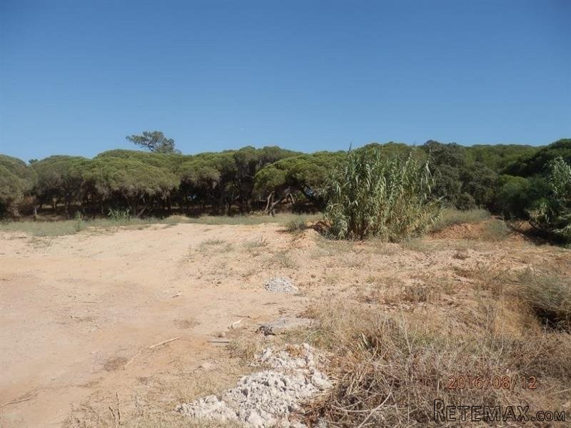 Plot For Sale: Fonte Santa, Loule.. - 2