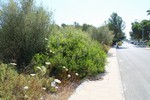 - Land - For Sale