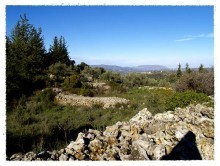 Land For Sale In Crete