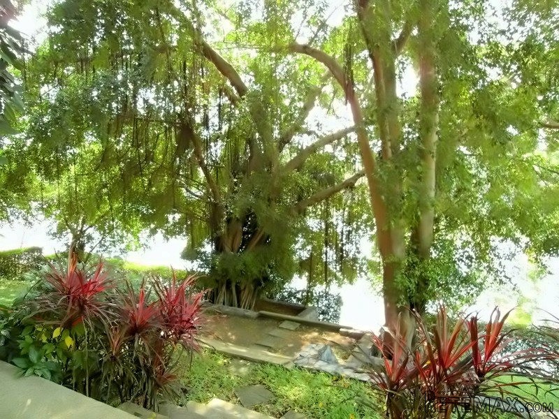 Phoenix Golf: charming 2 storey pool.. - 2