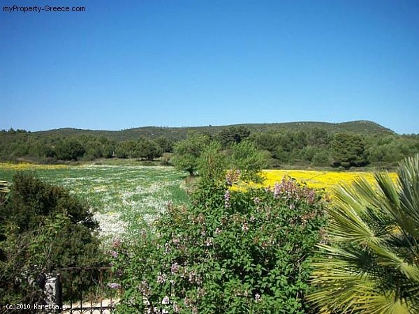 2 Bedrooms - Villa - Zakynthos - For..