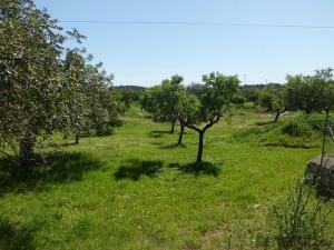 Mallorca, Artà, finca plot with licence..