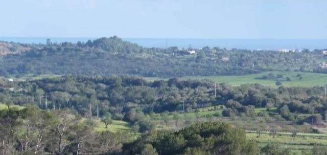 Spectacular plot of 27780m2 with 500m2..