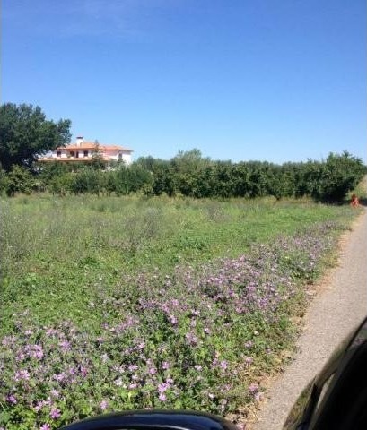 1 Bedroom - Land - For Sale - 2