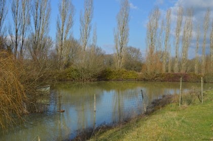 Maison de campagne avec 1,5 hectares de.. - 2