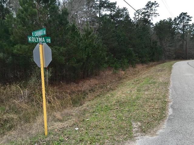 Land For Sale: 19313 Cabango Dr Porter.. - 2