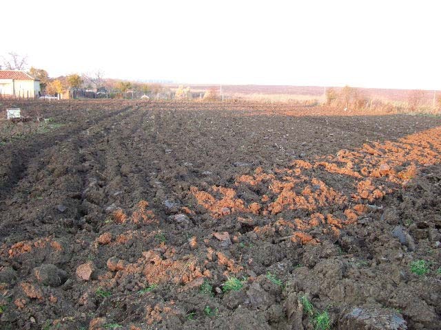 Land in Krupen, Kavarna - 2