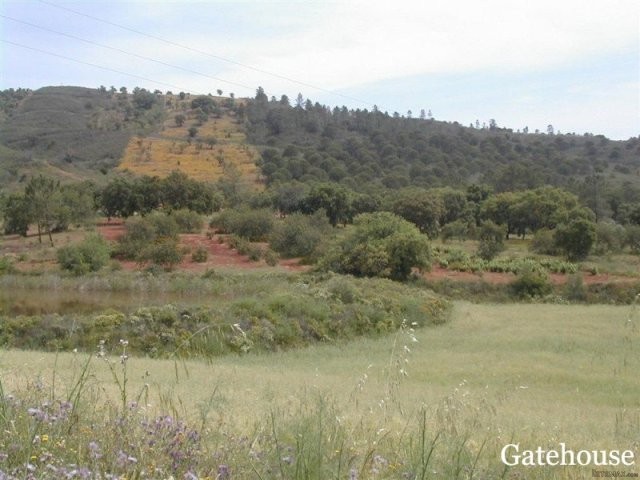 Ruin & Large Plot Plus Lake For Sale In..