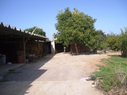 3 Bedrooms - Finca - Islas Baleares -.. - 2