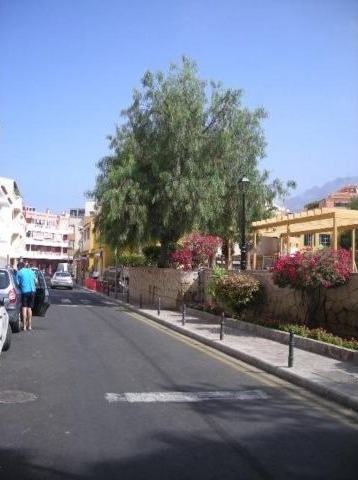 Calle Herrador, Puerto Santiago.. - 2