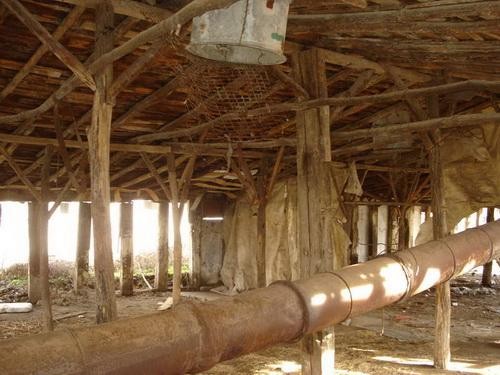 Ex-poultry farm with 2000 sq.m. land..
