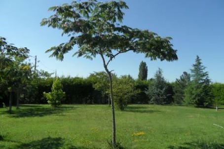 Stone House For Sale St Jean D Angely - 2
