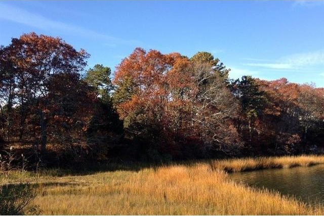 Land For Sale: Ockway Bay Road, Mashpee - 2