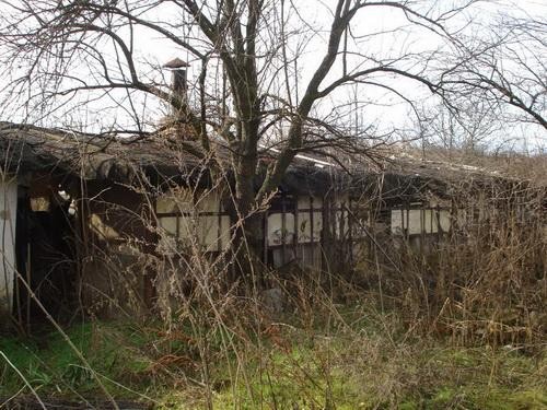 Ex-poultry farm with 2000 sq.m. land.. - 2
