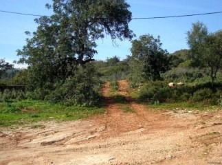 Te Koop: Bouwkavel In Centraal Algarve..
