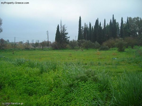 Land - Zakynthos - For Sale