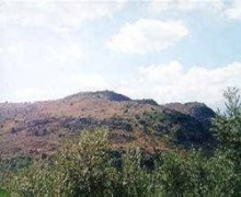 Large Hill Side Plot - Perivolia