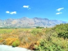 Land In Greece - 2