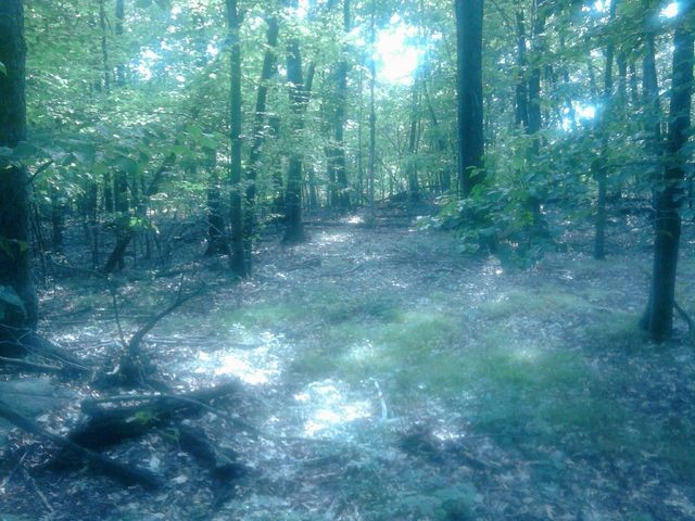 Land For Sale: Carmel, New York