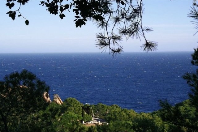 Exclusive plot of land for the..