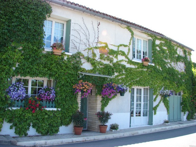 Renovated village house