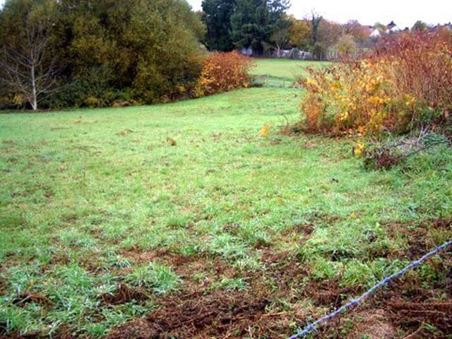 Two Building Plots With Outline..