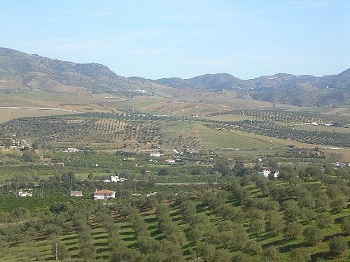 Land - Various plots of land situated.. - 2