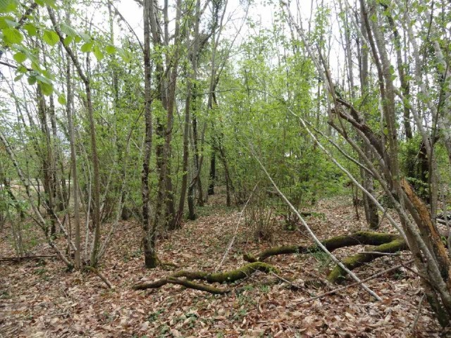 25130 - Vente - Terrain - Vergt - 2