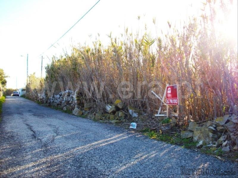 Plot, Peniche, Peniche