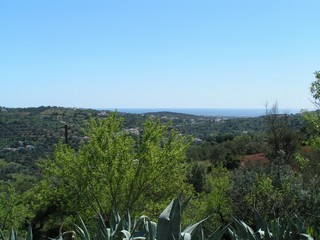 Te Koop: Bouwkavel In Centraal Algarve.. - 2