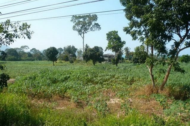 Land - For Sale - Bangsaray - EUR.. - 2