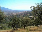- Property - Malaga - For Sale